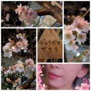 ヒメ日記 2026/01/05 17:13 投稿 ハスミ 東京★出張マッサージ委員会Z