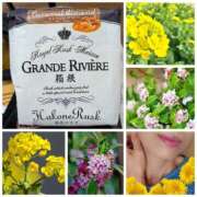 ヒメ日記 2026/03/09 17:17 投稿 ハスミ 東京★出張マッサージ委員会Z