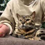 ヒメ日記 2025/02/22 10:36 投稿 ちなみ 京都の痴女鉄道