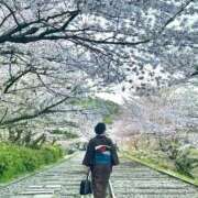 ヒメ日記 2025/02/27 14:56 投稿 ちなみ 京都の痴女鉄道