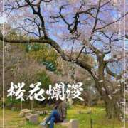 ヒメ日記 2025/03/31 19:10 投稿 ちなみ 京都の痴女鉄道