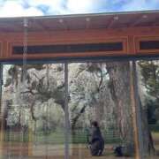 ヒメ日記 2025/04/04 22:33 投稿 ちなみ 京都の痴女鉄道