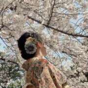 ヒメ日記 2025/04/06 22:16 投稿 ちなみ 京都の痴女鉄道