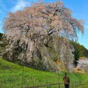 ヒメ日記 2025/04/13 14:16 投稿 ちなみ 京都の痴女鉄道