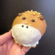 ヒメ日記 2026/01/03 01:56 投稿 ちなみ 京都の痴女鉄道