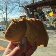 ヒメ日記 2026/04/15 17:46 投稿 ちなみ 京都の痴女鉄道