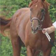 ヒメ日記 2024/12/22 15:28 投稿 みかこ 京都の痴女鉄道