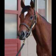 ヒメ日記 2025/02/26 08:50 投稿 みかこ 京都の痴女鉄道