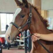 ヒメ日記 2025/04/14 08:46 投稿 みかこ 京都の痴女鉄道