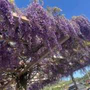 ヒメ日記 2025/05/08 10:16 投稿 みかこ 京都の痴女鉄道