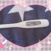 ヒメ日記 2025/02/10 15:19 投稿 大政　まや つくば風俗エキスプレス   ヌキ坂46