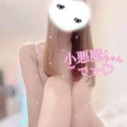 ヒメ日記 2025/03/02 21:04 投稿 大政　まや つくば風俗エキスプレス   ヌキ坂46