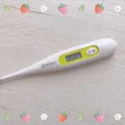 ヒメ日記 2025/04/26 15:19 投稿 大政　まや つくば風俗エキスプレス   ヌキ坂46