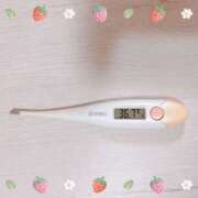 ヒメ日記 2025/04/29 15:20 投稿 大政　まや つくば風俗エキスプレス   ヌキ坂46