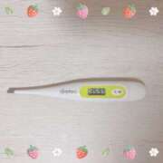 ヒメ日記 2025/05/21 15:15 投稿 大政　まや つくば風俗エキスプレス   ヌキ坂46