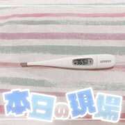 ヒメ日記 2025/05/23 15:19 投稿 大政　まや つくば風俗エキスプレス   ヌキ坂46