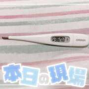 ヒメ日記 2025/05/24 15:15 投稿 大政　まや つくば風俗エキスプレス   ヌキ坂46