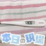 ヒメ日記 2025/05/25 15:15 投稿 大政　まや つくば風俗エキスプレス   ヌキ坂46
