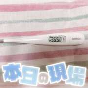 ヒメ日記 2025/05/26 15:15 投稿 大政　まや つくば風俗エキスプレス   ヌキ坂46