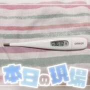 ヒメ日記 2025/05/30 15:19 投稿 大政　まや つくば風俗エキスプレス   ヌキ坂46