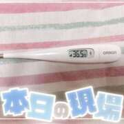ヒメ日記 2025/06/03 15:20 投稿 大政　まや つくば風俗エキスプレス   ヌキ坂46