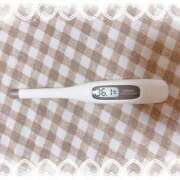 ヒメ日記 2025/06/05 15:15 投稿 大政　まや つくば風俗エキスプレス   ヌキ坂46