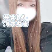 ヒメ日記 2025/11/13 15:05 投稿 大政　まや つくば風俗エキスプレス   ヌキ坂46