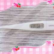 ヒメ日記 2025/11/26 15:15 投稿 大政　まや つくば風俗エキスプレス   ヌキ坂46