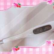 ヒメ日記 2025/12/02 15:15 投稿 大政　まや つくば風俗エキスプレス   ヌキ坂46