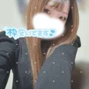 ヒメ日記 2025/12/16 15:04 投稿 大政　まや つくば風俗エキスプレス   ヌキ坂46