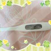 ヒメ日記 2025/12/18 15:16 投稿 大政　まや つくば風俗エキスプレス   ヌキ坂46