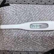 大政　まや 体温🩶 つくば風俗エキスプレス   ヌキ坂46