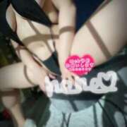 ヒメ日記 2025/05/26 08:09 投稿 音羽ねね 五反田ウルトラファンタジー