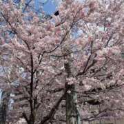 ヒメ日記 2025/05/01 20:06 投稿 こころ もしも優しいお姉さんが本気になったら...横浜店