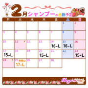 ヒメ日記 2025/02/03 16:46 投稿 シャンプー ビギナーズ神戸