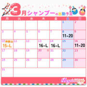 ヒメ日記 2025/02/20 01:16 投稿 シャンプー ビギナーズ神戸