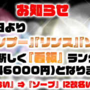 ヒメ日記 2025/03/26 15:06 投稿 シャンプー ビギナーズ神戸