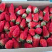 ヒメ日記 2025/03/27 17:24 投稿 西野陽子 こあくまな熟女たち三河店（KOAKUMAグループ）