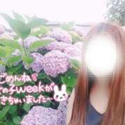 ヒメ日記 2025/06/13 08:18 投稿 りさ 丸妻 厚木店