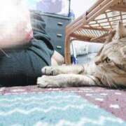 ヒメ日記 2026/02/22 11:12 投稿 りさ 丸妻 厚木店