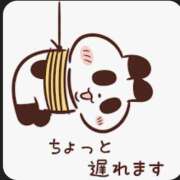 ヒメ日記 2026/04/13 09:20 投稿 りさ 丸妻 厚木店