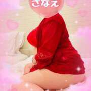 ヒメ日記 2025/09/12 08:30 投稿 杉本さなえ 大阪ぽっちゃり妻