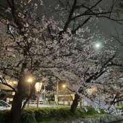 ヒメ日記 2025/04/02 03:00 投稿 りょう ばつぐん素人プロダクション