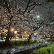 ヒメ日記 2025/04/02 02:50 投稿 りょうたん 京都デリヘル女学院