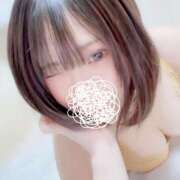 ヒメ日記 2025/04/23 18:03 投稿 りょうたん 京都デリヘル女学院