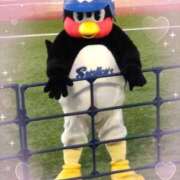 ヒメ日記 2025/02/07 15:50 投稿 ひびき プレイボーイ(八王子)