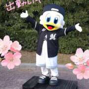 ヒメ日記 2025/04/13 08:04 投稿 ひびき プレイボーイ(八王子)