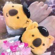 ヒメ日記 2025/08/26 09:21 投稿 ひびき プレイボーイ(八王子)