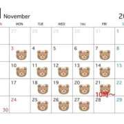 ヒメ日記 2025/11/03 08:25 投稿 りさ プレイボーイ(八王子)