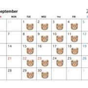 ヒメ日記 2026/08/28 08:32 投稿 りさ プレイボーイ(八王子)